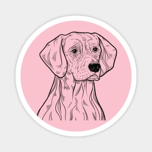 weimaraner Magnet